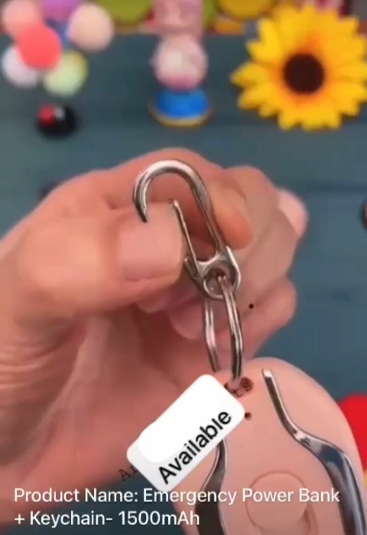 Emergency power bank