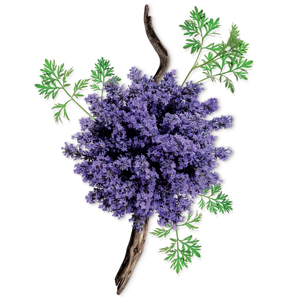 DÉODORANT MAUBOUSSIN POUR LUI