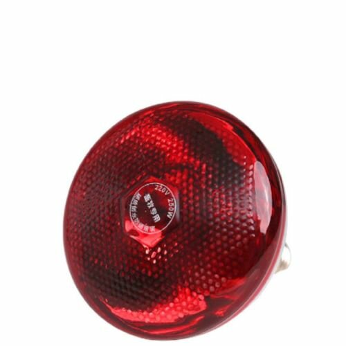 Lot De 2 Ampoules Chauffantes 220 Volt 250W, Production De Chaleur Pour Poussins Ou Couveuses