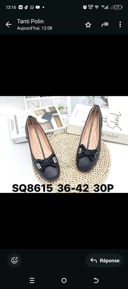 Ballerines élégantes femmes