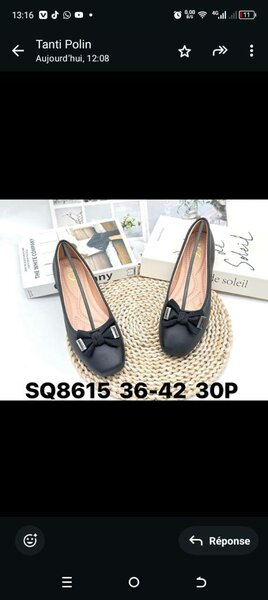 Ballerines élégantes femmes