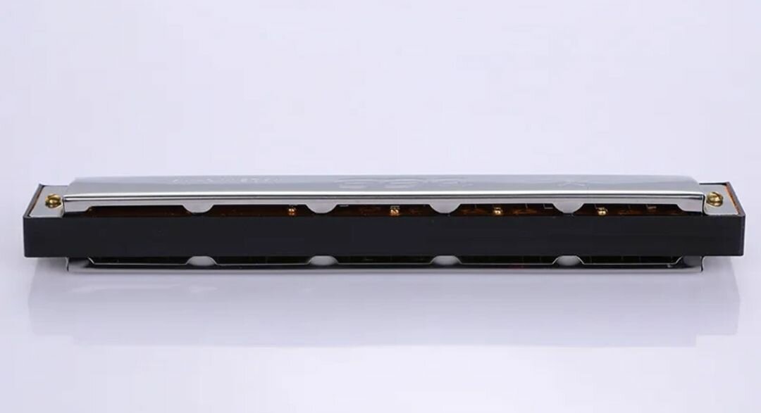 Harmonica Chromatique Pro