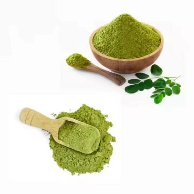 Poudre de Moringa Bio 1kg