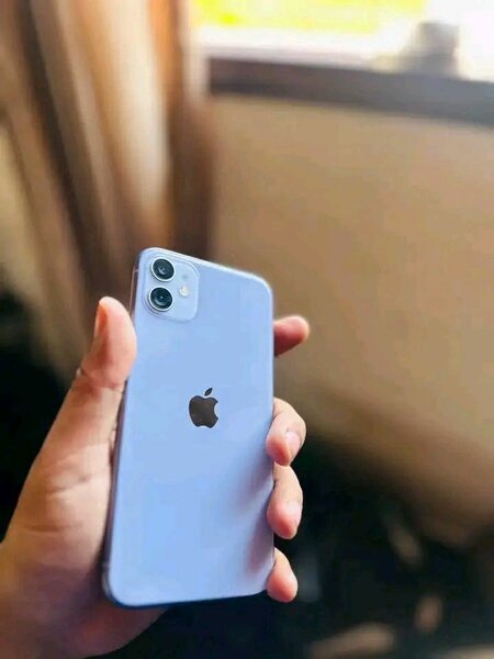 iPhone 11 Violet