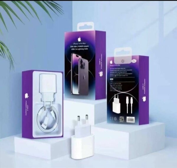 Chargeur Apple USB-C Rapide