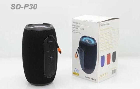 Aotosonic Portable Bluetooth Speaker SD-P30