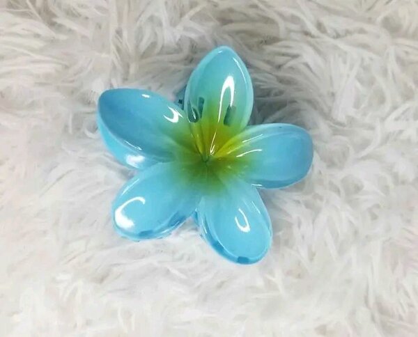 Pinces à cheveux fleurs colorées