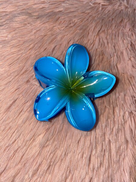 Pinces à cheveux fleurs tropicales