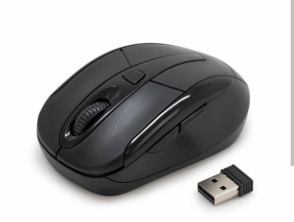 Souris sans fil ergonomique