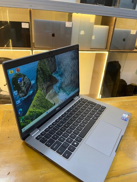 Dell latitude