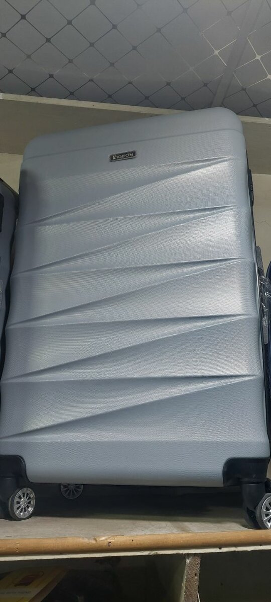 Suitcase travel Piegen