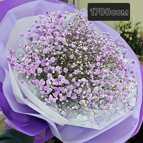 гипсофилав букете бишкек 