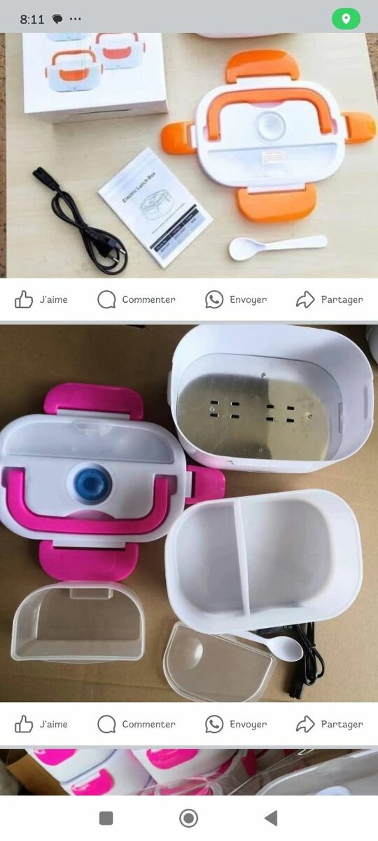 Lunch Box Électrique Portable