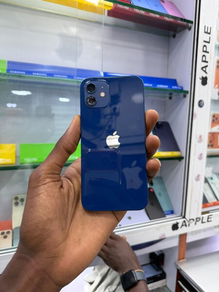 iPhone 12 Bleu 64 Go