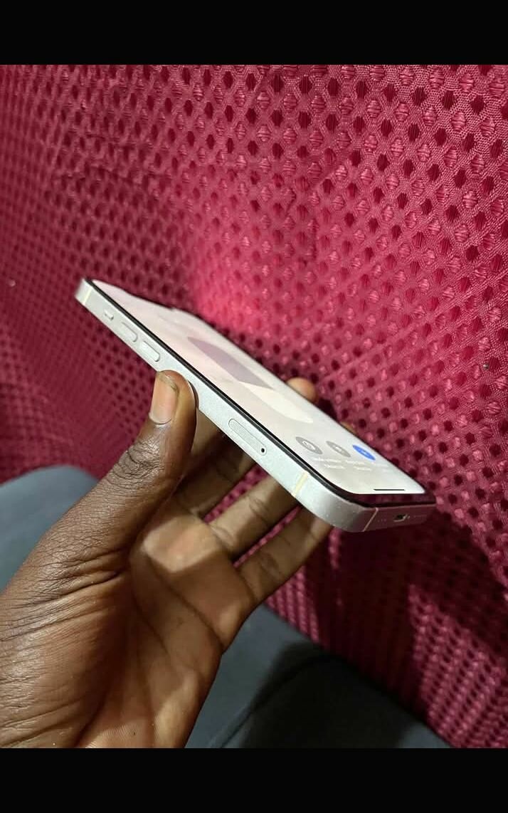 iPhone 13 128Go Rose