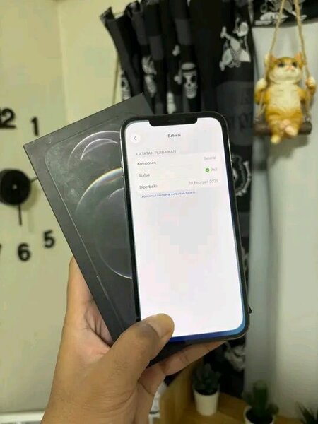 iPhone 13 Pro Max Argent