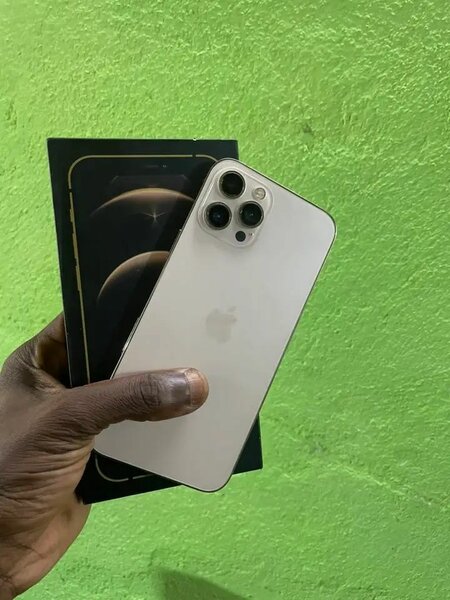 iPhone 12 Pro Max 512 Go