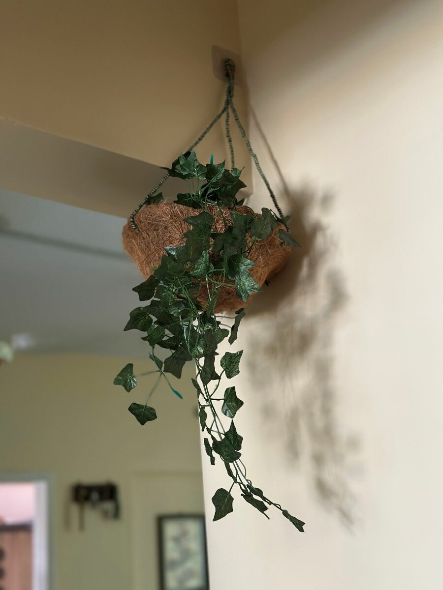 Nest Basket with bail bunch