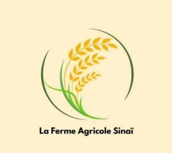 Riz Basmati Bio Avni 