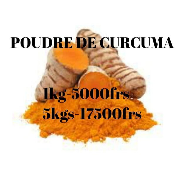 Poudre de Curcuma Bio 1kg