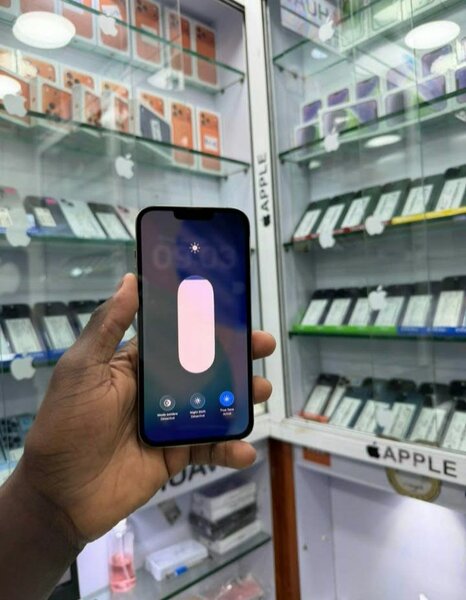 Apple iPhone 13Pro d'occasion