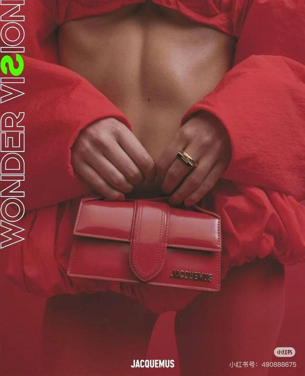 Sac à main Jacquemus chic