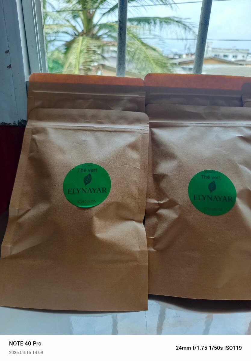 Thé Vert Elynayar Bio