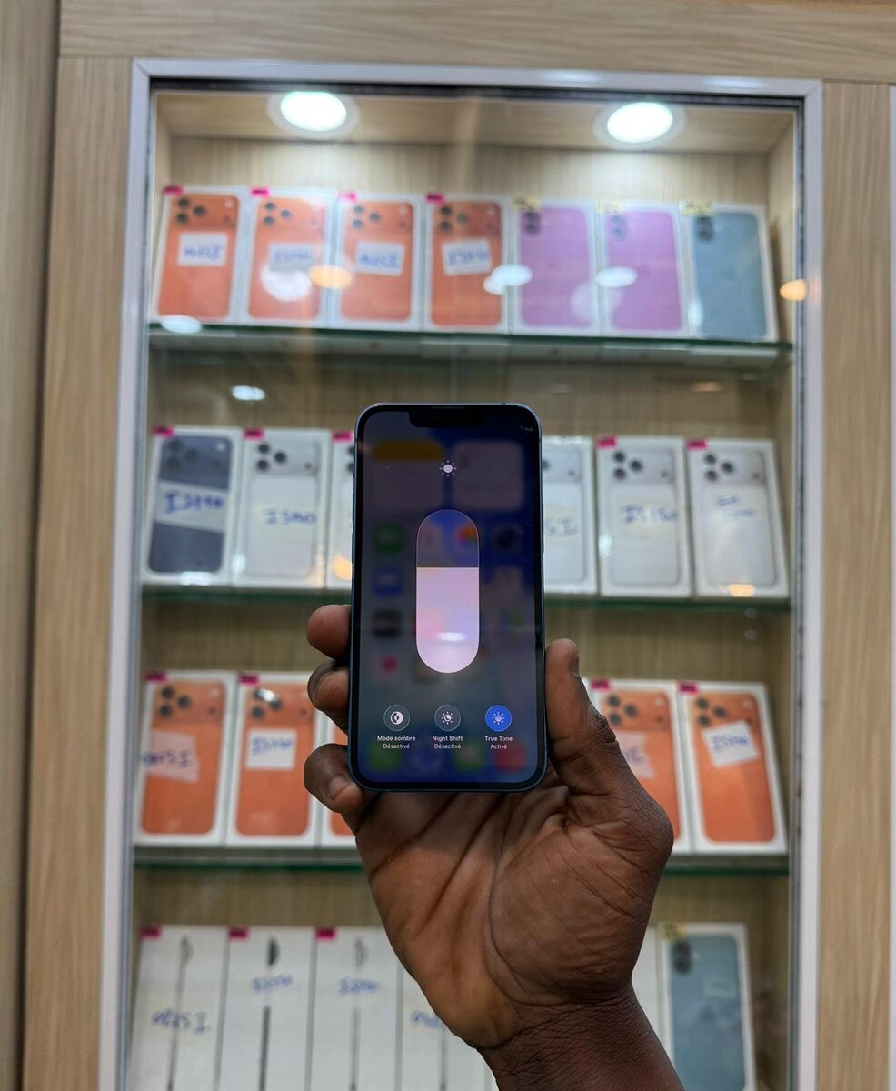 13 Mini 128Go Casi neuf 1 pièc