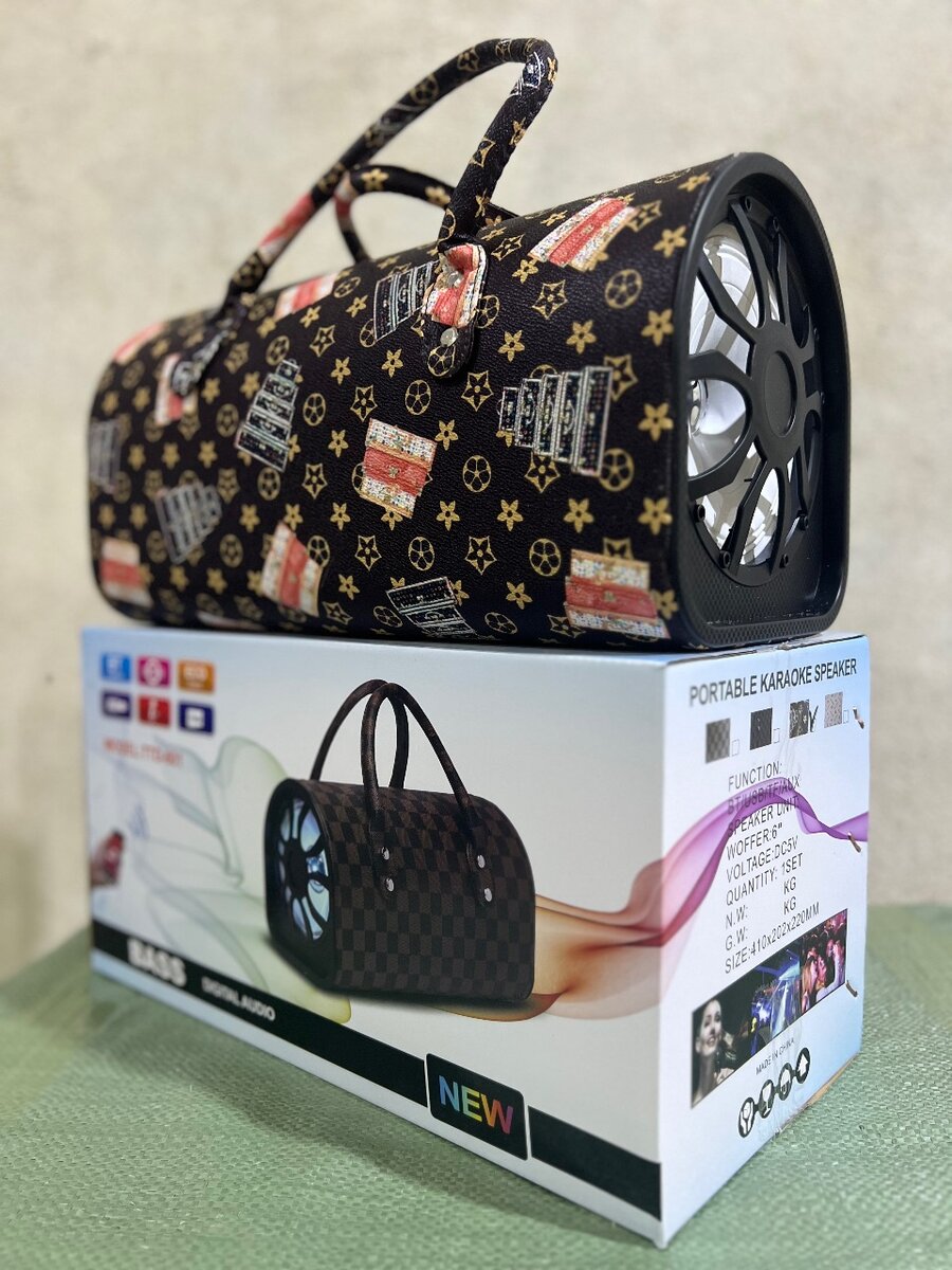 Enceinte karaoke portable Bluetooth