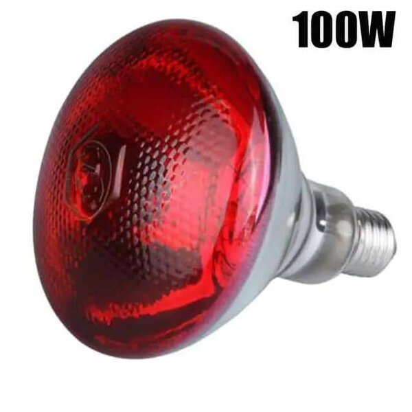 Ampoule infrarouge 100W