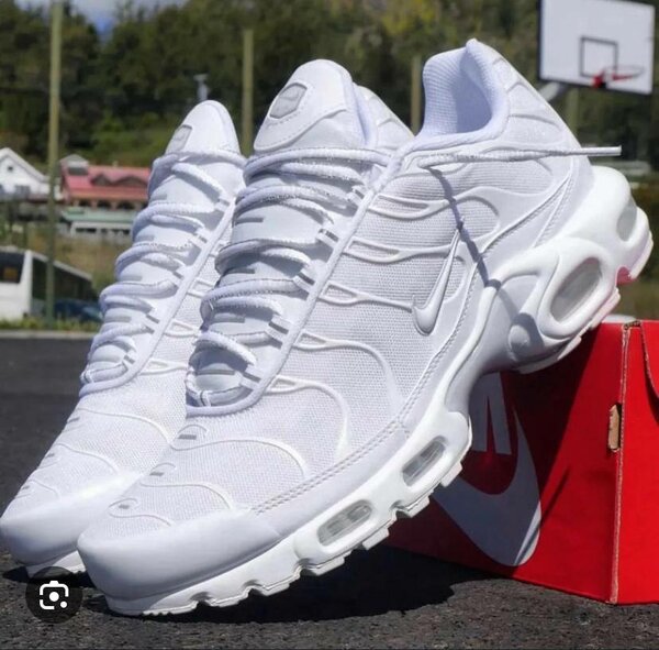 Baskets Nike blanches Air Max
