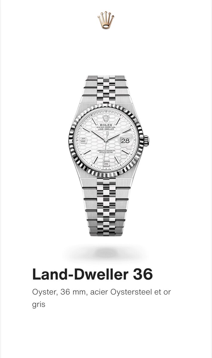 Montre Land-Dweller 36 mm