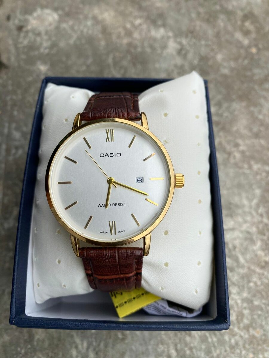 Montres Casio Classiques Homme