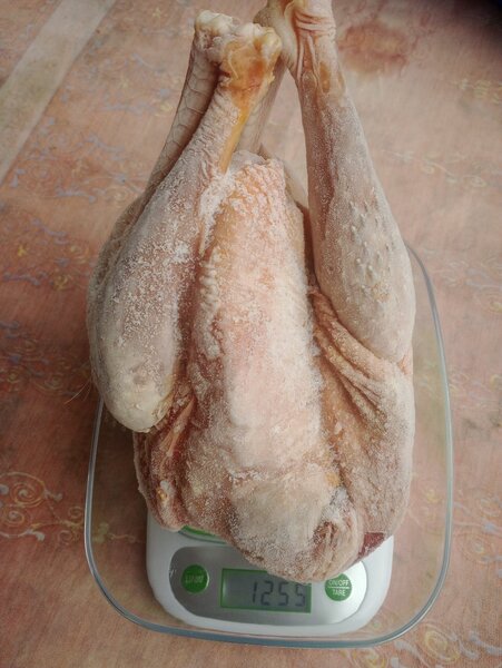 Poulet Africain