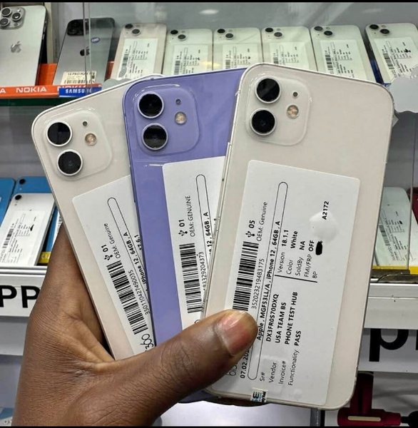 iPhone 12 - État impeccable