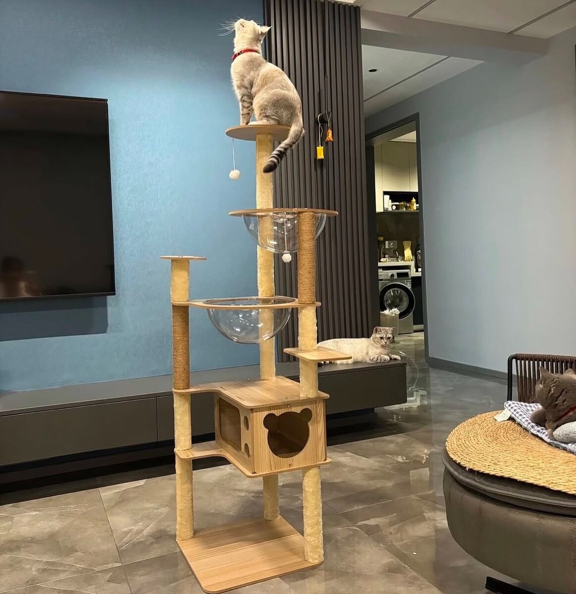 Домик для кошек