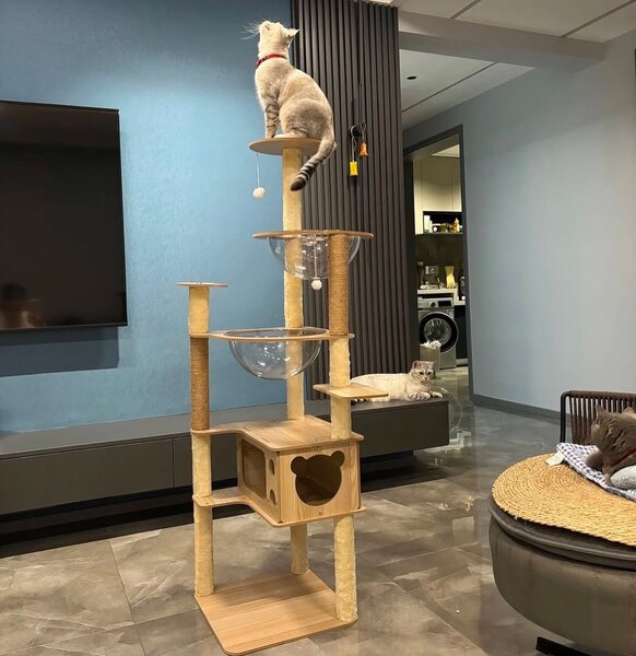 Домик для кошек