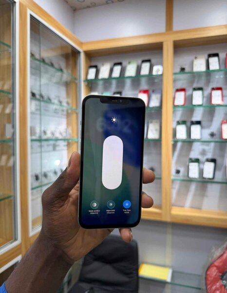 iPhone 12 Pro 256 Go Argent