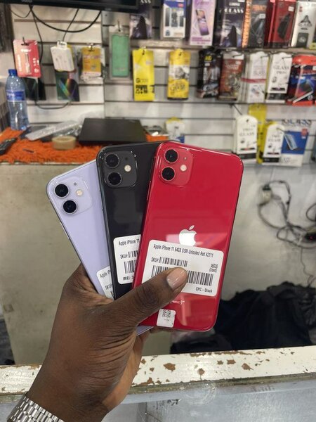 iPhone 11 Couleurs Variées