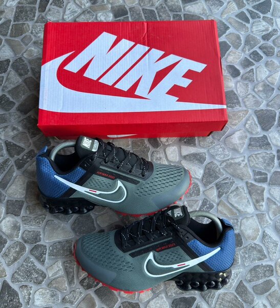 Nike Air Max Homme Gris