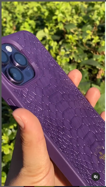 Чехол защитный на 14 pro / 14 Pro Max ORIGINAL Santa Barbara