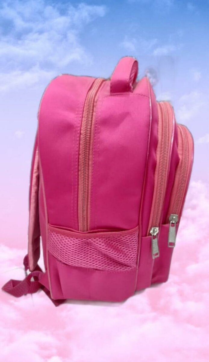 Unicorn 🦄 School Bag