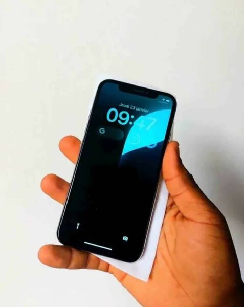 iPhone avec écran de 6,5 pouces