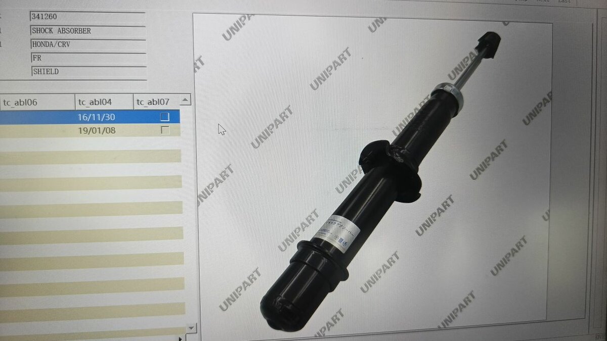 Suspension & Shock Absorber Set