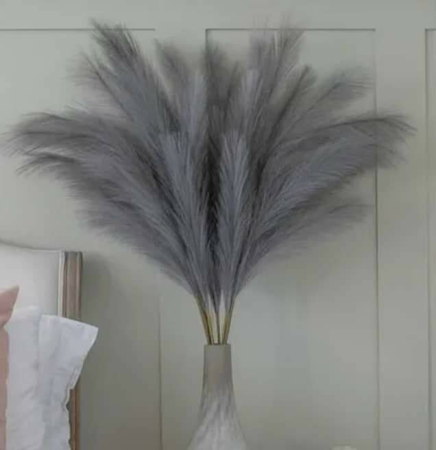 10Pampas Décor Naturel