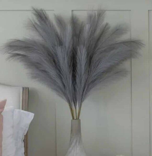 10Pampas Décor Naturel