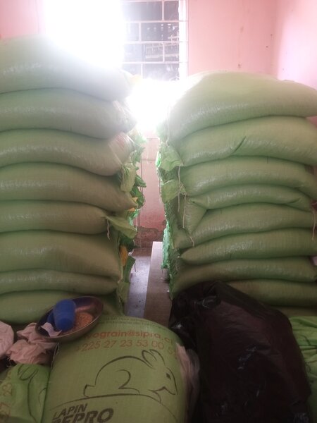 Granulés alimentaires pour lapins