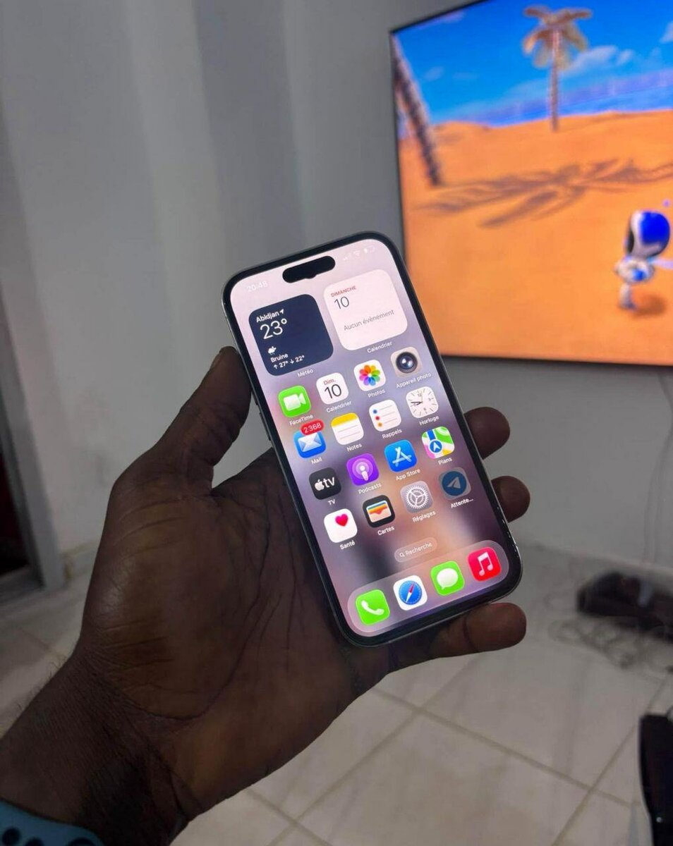 iPhone 14 Pro Max 256 Go Argent