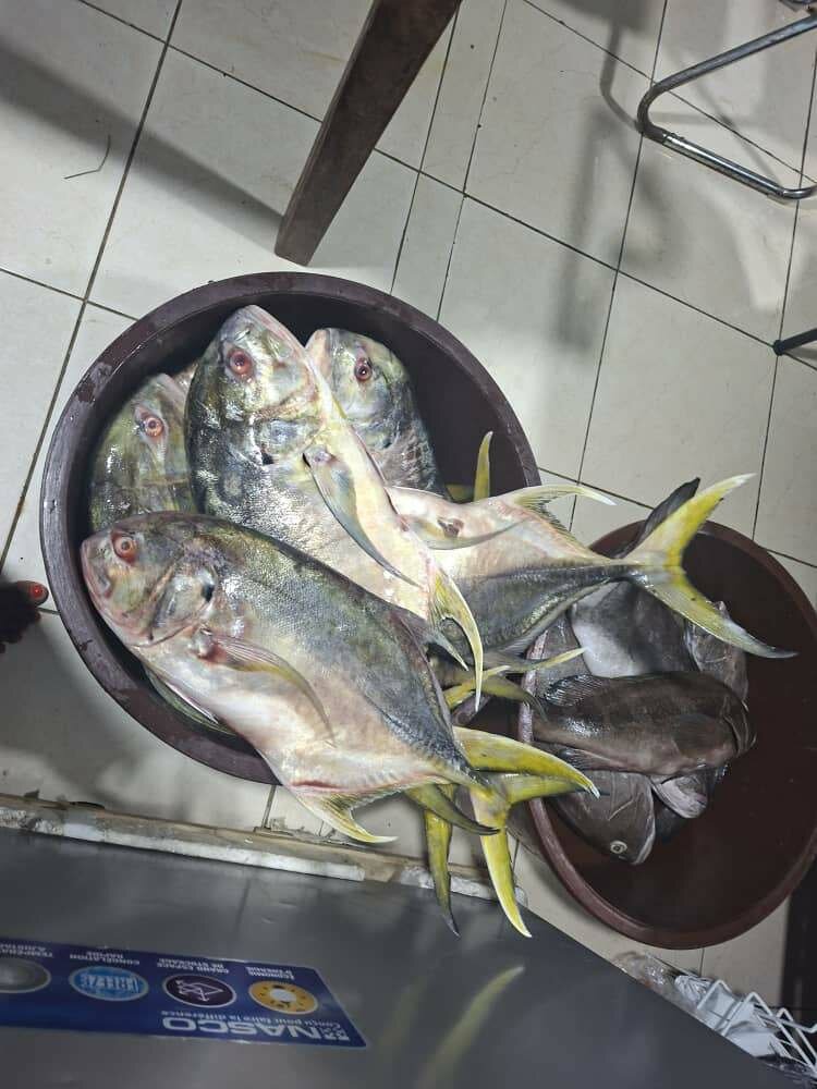 Poissons et Crevettes Fraîches