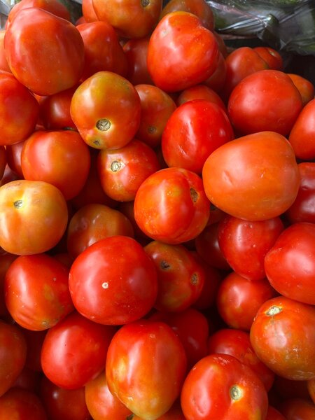 Tomates fraîches bio / kilo